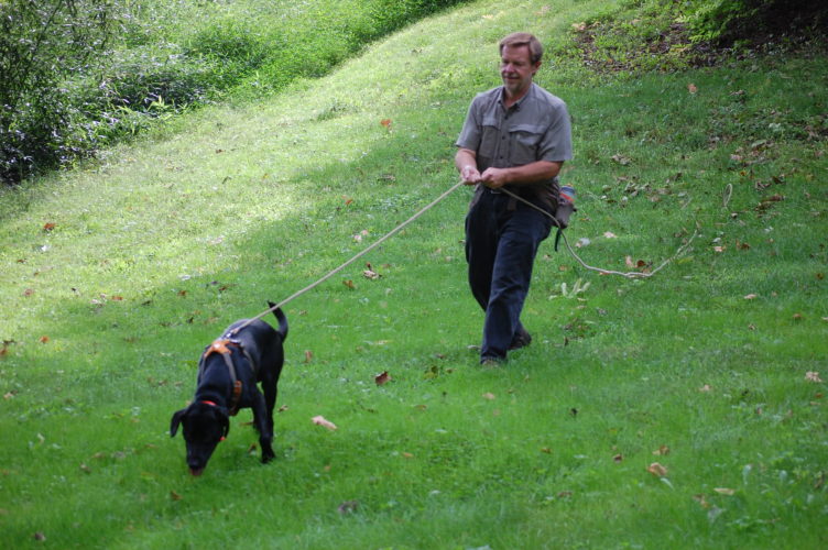 Hunters win with legalization of leashed tracking dogs